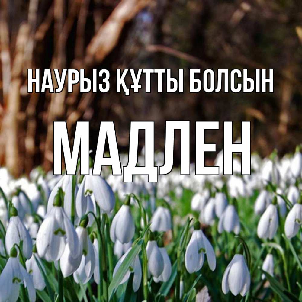 Открытка на каждый день с именем, Мадлен Наурыз құтты болсын с подснежниками 1 Прикольная открытка с пожеланием онлайн скачать бесплатно 