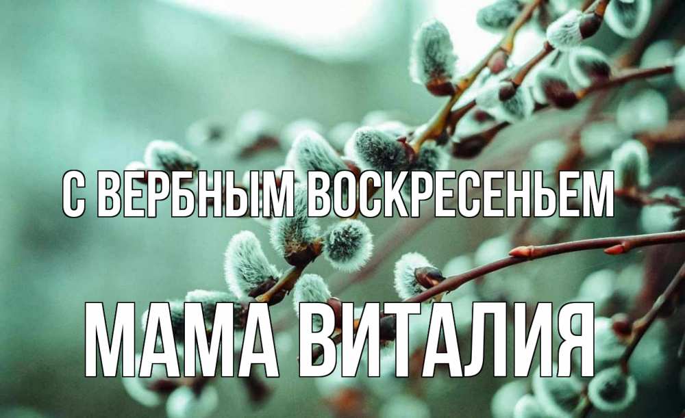 Открытка на каждый день с именем, Мама-Виталия С вербным воскресеньем верба Прикольная открытка с пожеланием онлайн скачать бесплатно 