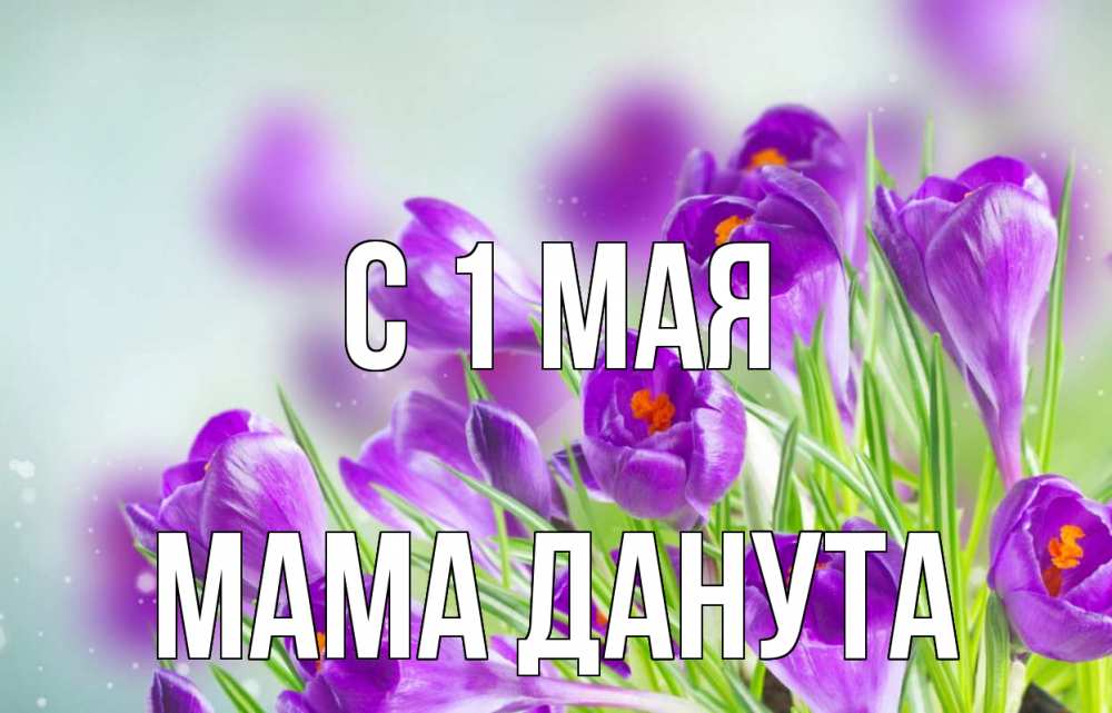 Открытка на каждый день с именем, Мама-Данута С 1 мая 1 мая Прикольная открытка с пожеланием онлайн скачать бесплатно 