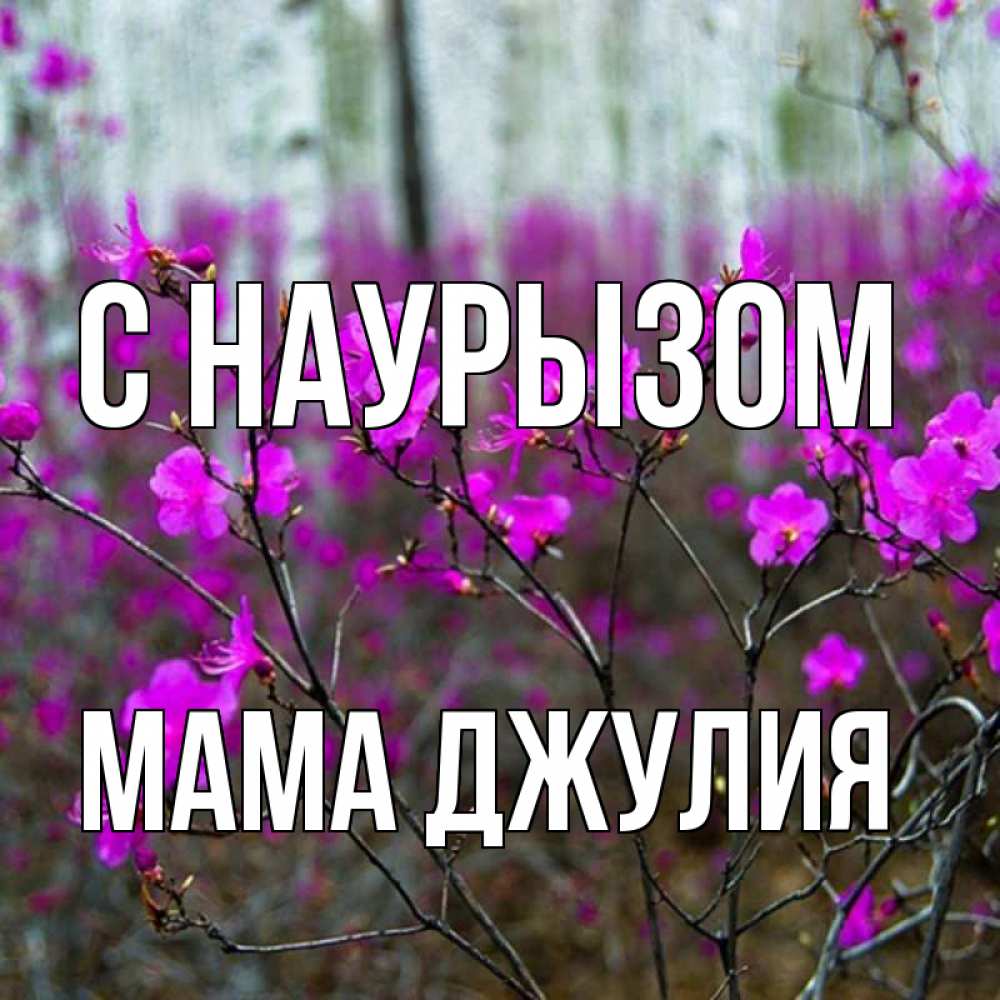 Открытка на каждый день с именем, Мама-Джулия С наурызом дикие цветы Прикольная открытка с пожеланием онлайн скачать бесплатно 