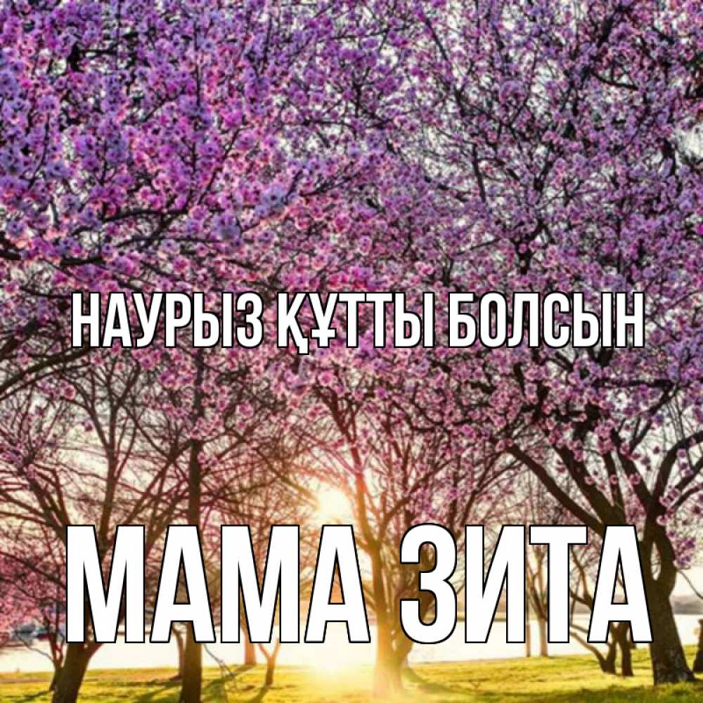 Открытка на каждый день с именем, Мама-Зита Наурыз құтты болсын наурыз Прикольная открытка с пожеланием онлайн скачать бесплатно 