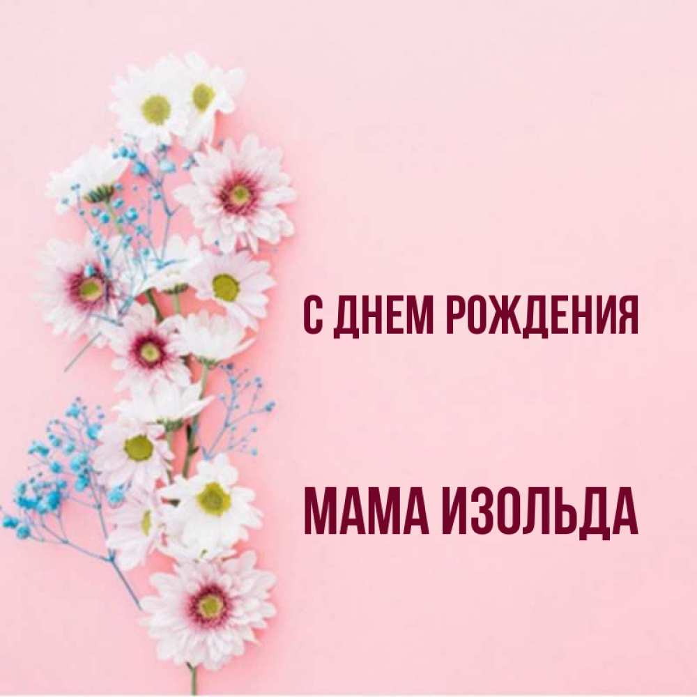 Открытка на каждый день с именем, Мама-Изольда С днем рождения Родная моя с днем рождения тебя картинка с цветами белыми и голубыми Прикольная открытка с пожеланием онлайн скачать бесплатно 