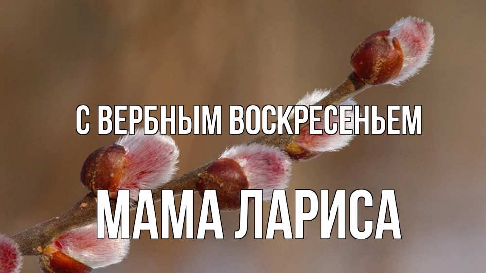 Открытка на каждый день с именем, Мама-Лариса С вербным воскресеньем верба Прикольная открытка с пожеланием онлайн скачать бесплатно 