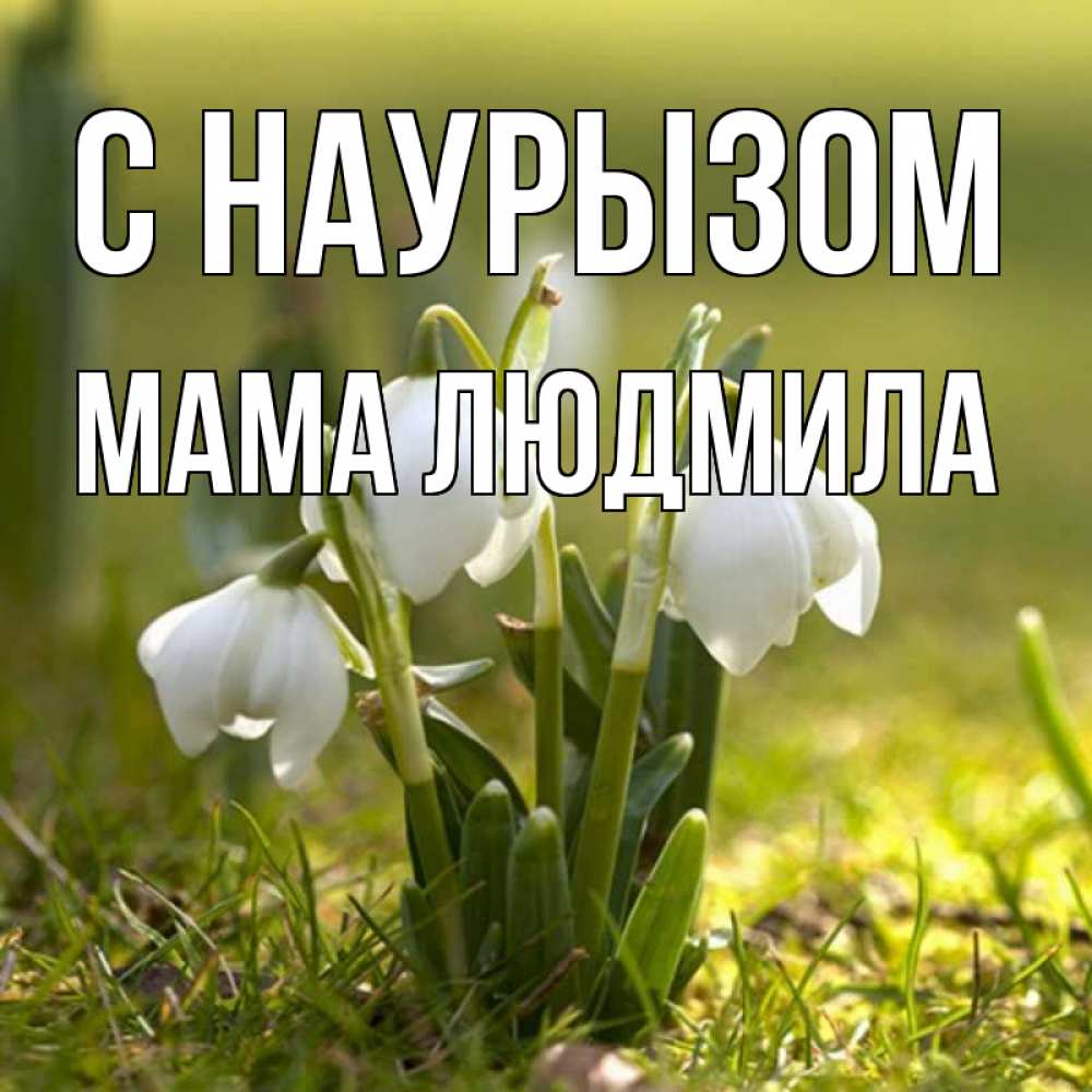 Открытка на каждый день с именем, Мама-Людмила С наурызом ранние цветы 2 Прикольная открытка с пожеланием онлайн скачать бесплатно 