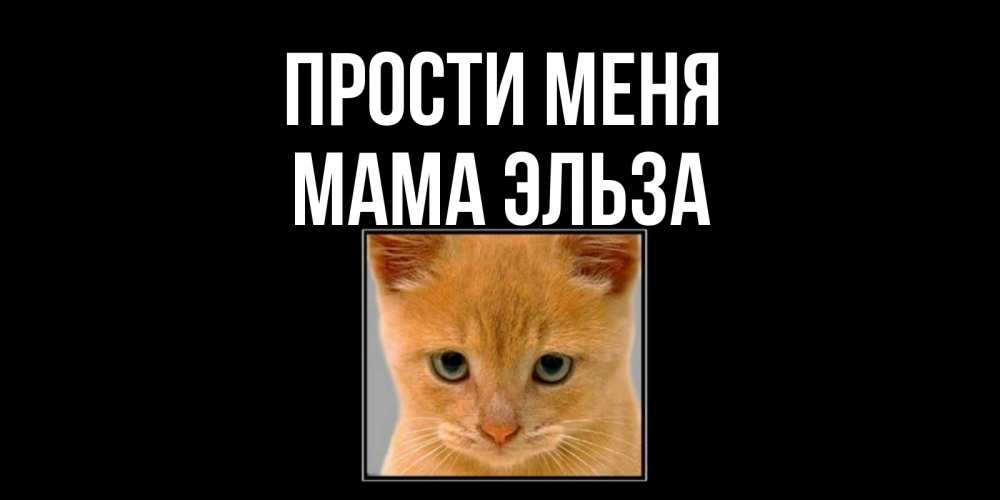 Открытка на каждый день с именем, Мама-Эльза Прости меня рыжий грустный кот просит прощения Прикольная открытка с пожеланием онлайн скачать бесплатно 