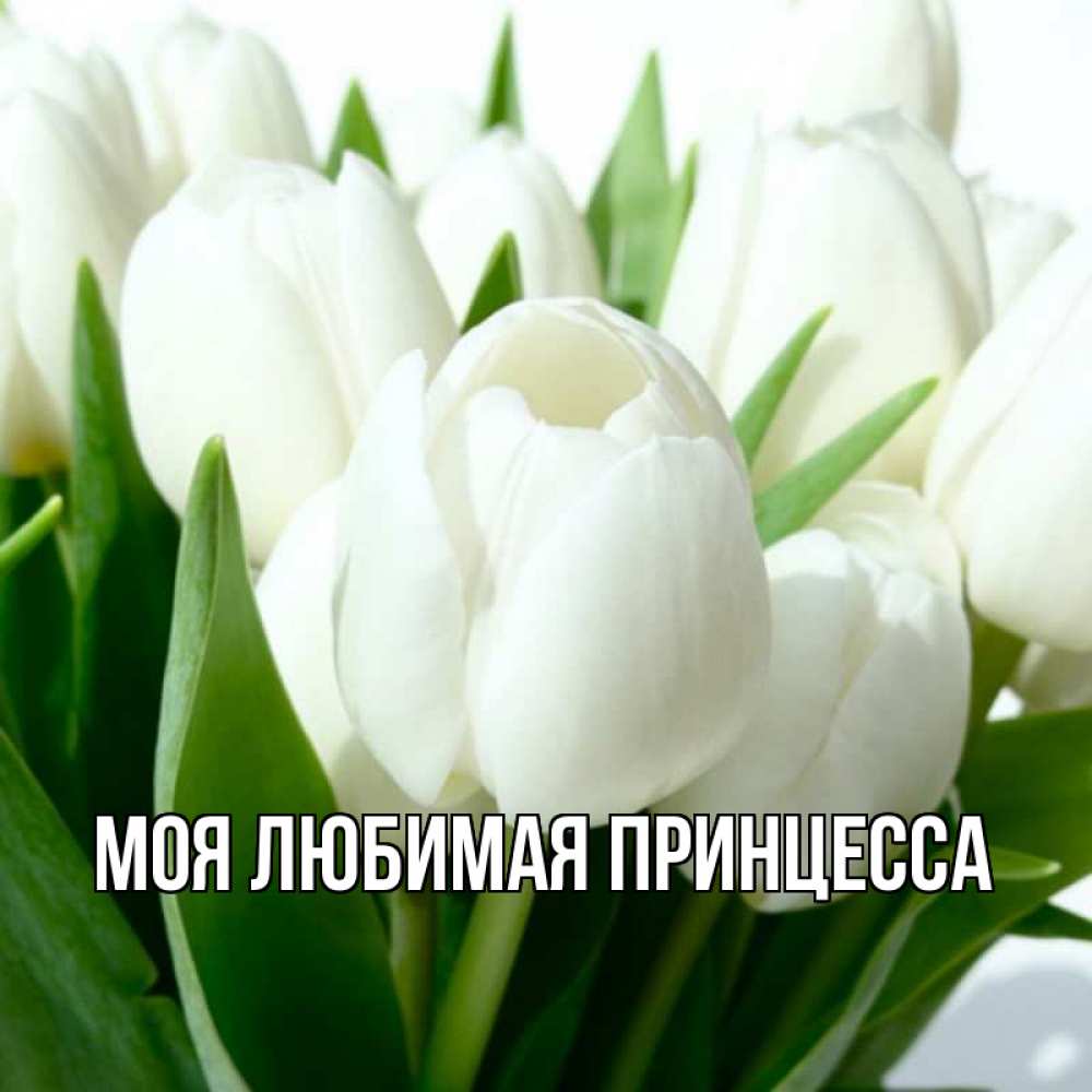 Открытка на каждый день с именем, Моя-Любимая-Принцесса Главная цветы Прикольная открытка с пожеланием онлайн скачать бесплатно 