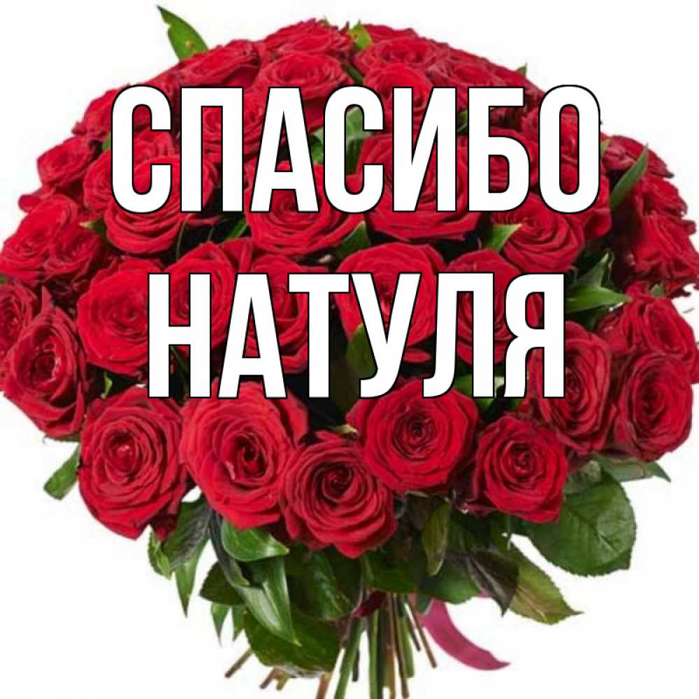 Открытка на каждый день с именем, НАТУЛЯ Спасибо букет красных роз Прикольная открытка с пожеланием онлайн скачать бесплатно 
