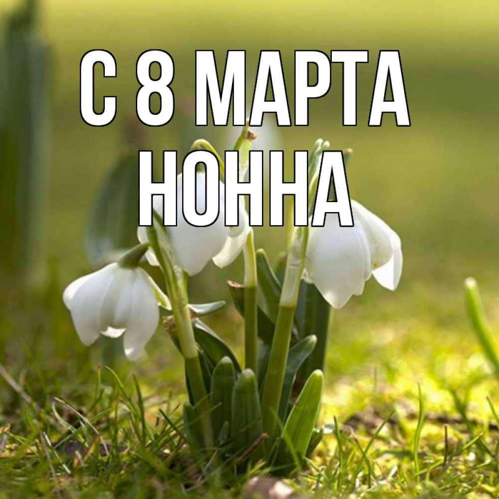Открытка на каждый день с именем, Нонна С 8 МАРТА ранние цветы 2 Прикольная открытка с пожеланием онлайн скачать бесплатно 