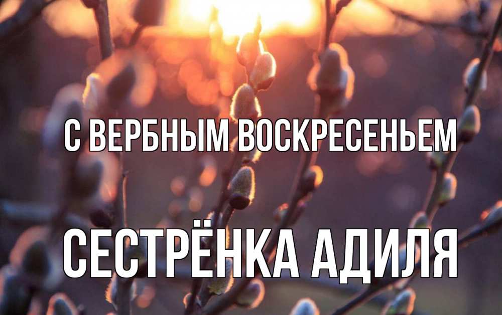 Открытка на каждый день с именем, Сестрёнка-Адиля С вербным воскресеньем верба Прикольная открытка с пожеланием онлайн скачать бесплатно 