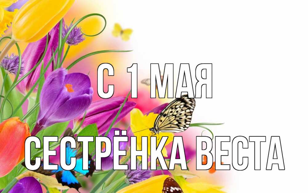 Открытка на каждый день с именем, Сестрёнка-Веста С 1 мая С 1 мая Прикольная открытка с пожеланием онлайн скачать бесплатно 