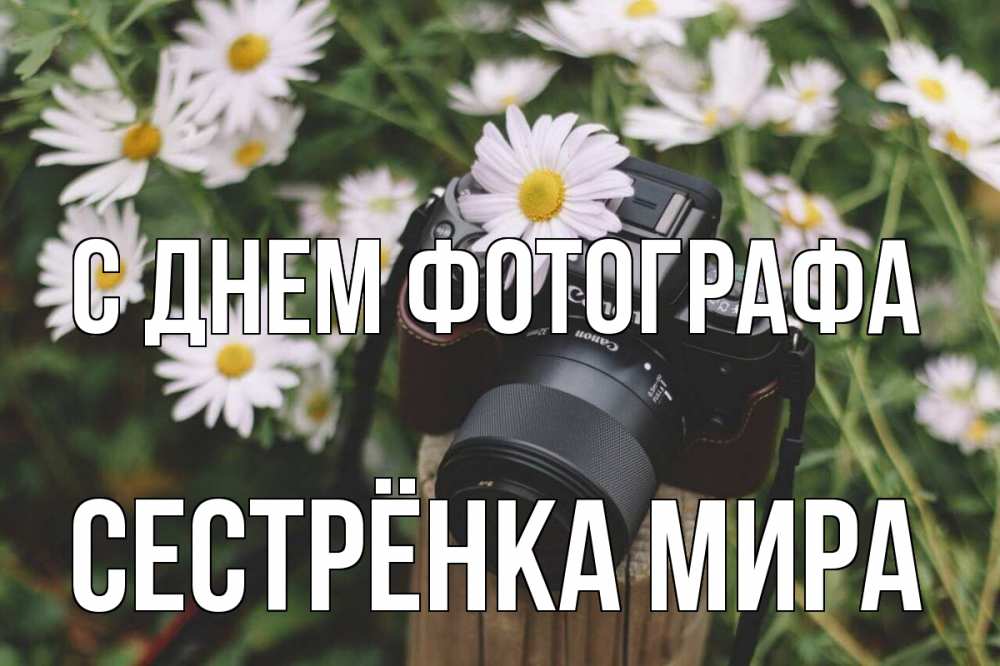 Открытка на каждый день с именем, Сестрёнка-Мира С днем фотографа с днем фотографа Прикольная открытка с пожеланием онлайн скачать бесплатно 