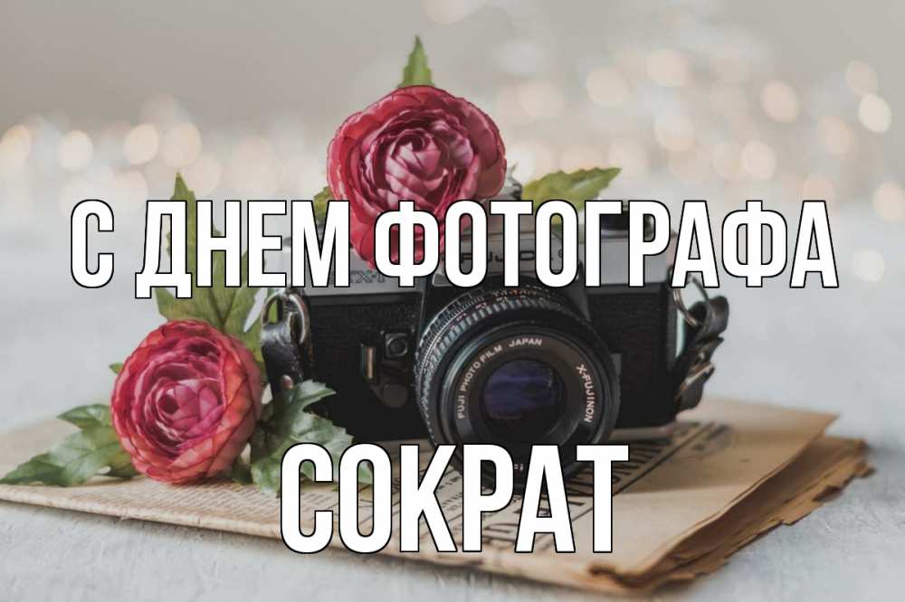 Открытка на каждый день с именем, Сократ С днем фотографа с днем фотографа Прикольная открытка с пожеланием онлайн скачать бесплатно 