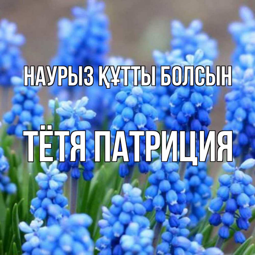 Открытка на каждый день с именем, Тётя-Патриция Наурыз құтты болсын Поздравительная открытка для женщин с цветами на праздничную дату Прикольная открытка с пожеланием онлайн скачать бесплатно 