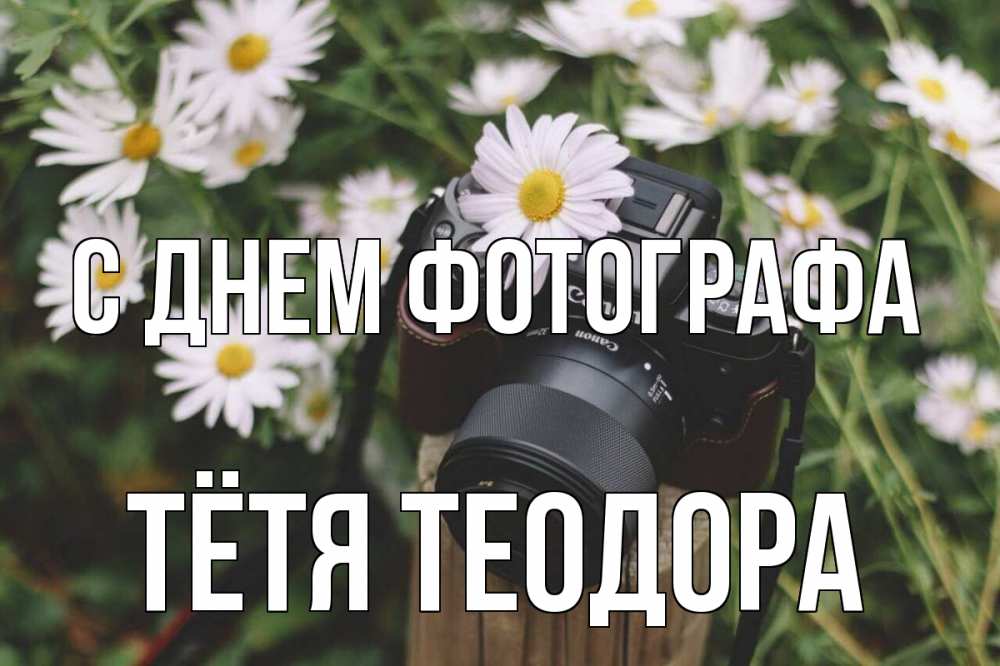Открытка на каждый день с именем, Тётя-Теодора С днем фотографа с днем фотографа Прикольная открытка с пожеланием онлайн скачать бесплатно 
