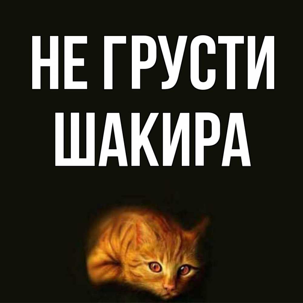 Открытка на каждый день с именем, Шакира Не грусти лежащий кот в темноте Прикольная открытка с пожеланием онлайн скачать бесплатно 
