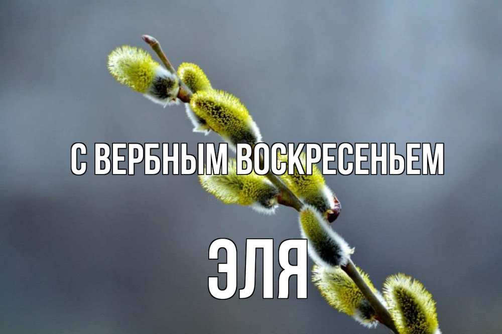 Открытка на каждый день с именем, Эля С вербным воскресеньем верба Прикольная открытка с пожеланием онлайн скачать бесплатно 