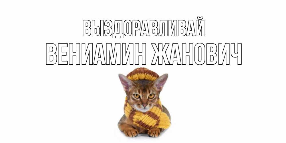 Картинка Выздоравливай, Вениамин Жанович