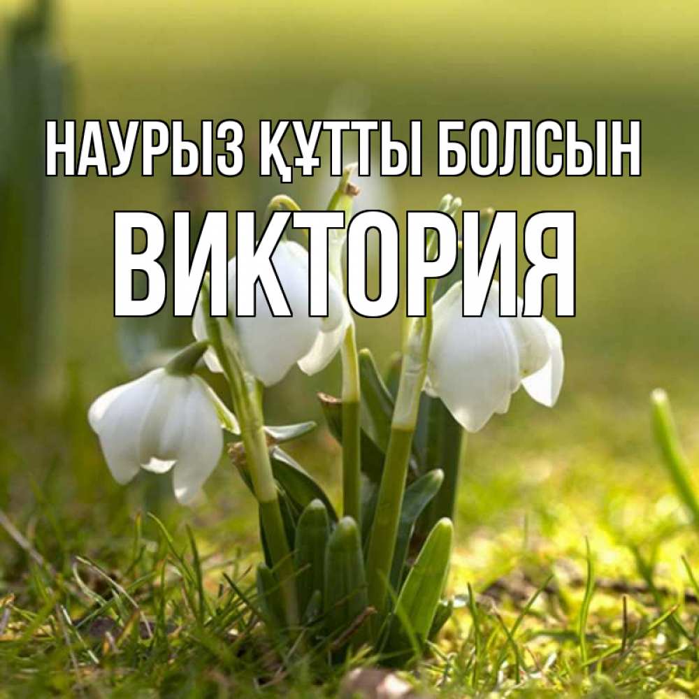 Открытка на каждый день с именем, Виктория Наурыз құтты болсын ранние цветы 2 Прикольная открытка с пожеланием онлайн скачать бесплатно 