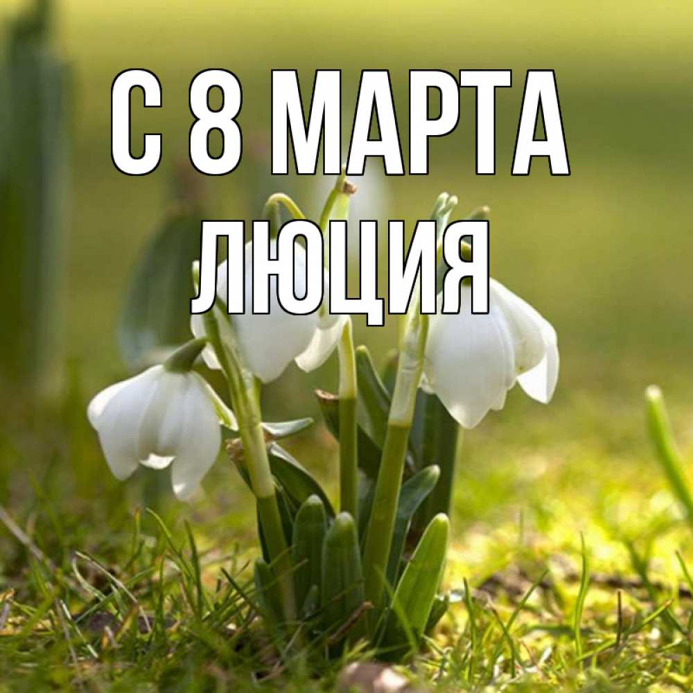 Открытка на каждый день с именем, Люция С 8 МАРТА ранние цветы 2 Прикольная открытка с пожеланием онлайн скачать бесплатно 