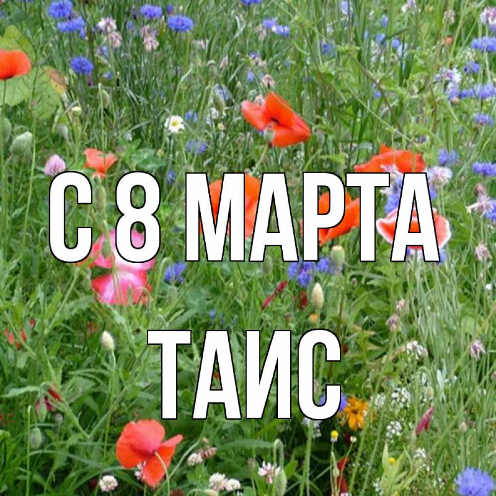 Открытка на каждый день с именем, Таис С 8 марта международный женский день 4 Прикольная открытка с пожеланием онлайн скачать бесплатно 
