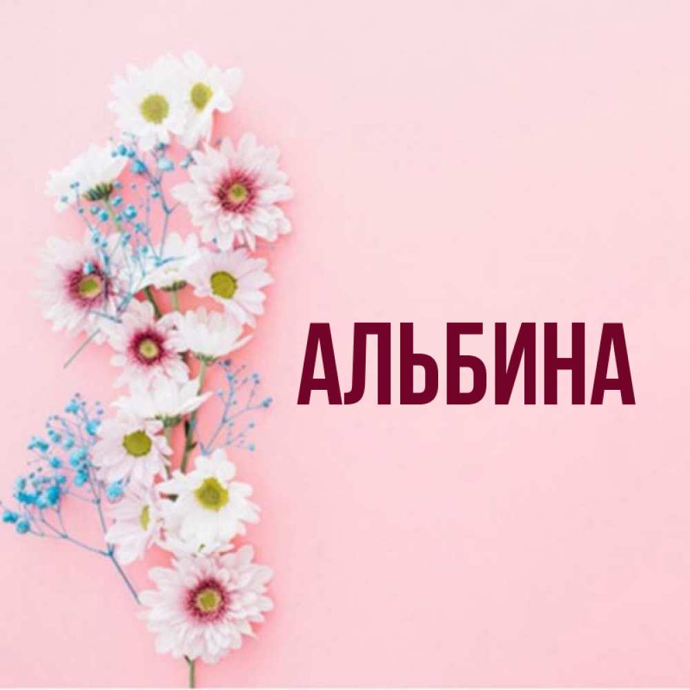 Цветы для альбины картинки