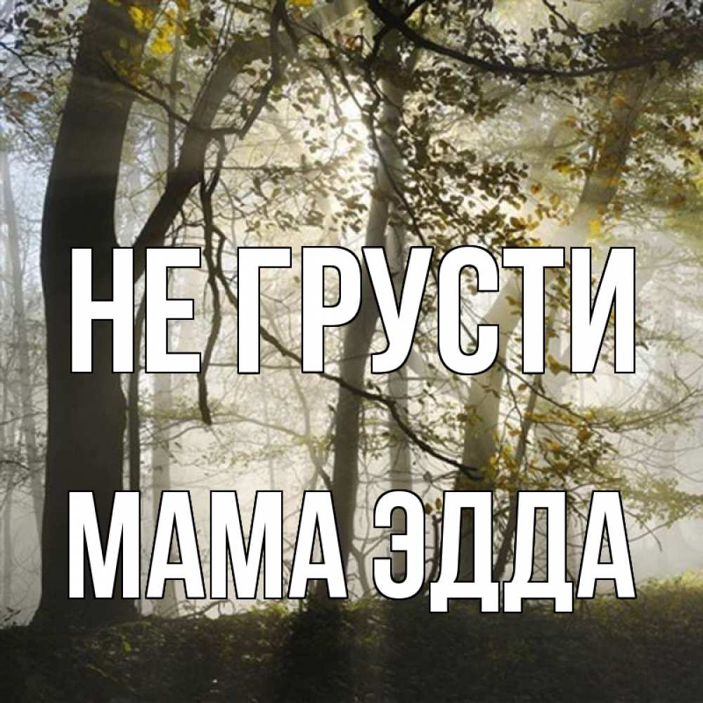 Открытка на каждый день с именем, Мама-Эдда Не грусти лес и свет Прикольная открытка с пожеланием онлайн скачать бесплатно 