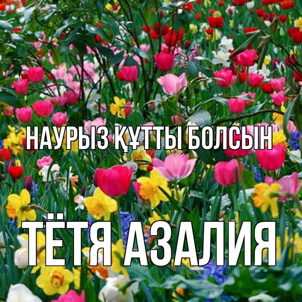Открытка на каждый день с именем, Тётя-Азалия Наурыз құтты болсын с наурызом поздравления для женщины Прикольная открытка с пожеланием онлайн скачать бесплатно 