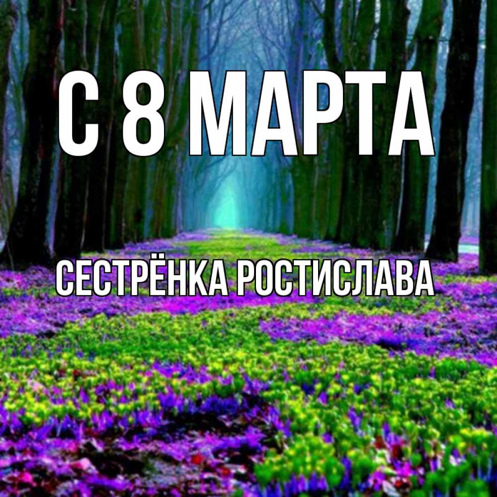 Открытка на каждый день с именем, Сестрёнка-Ростислава С 8 марта фиолетовые цветы в лесу 1 Прикольная открытка с пожеланием онлайн скачать бесплатно 