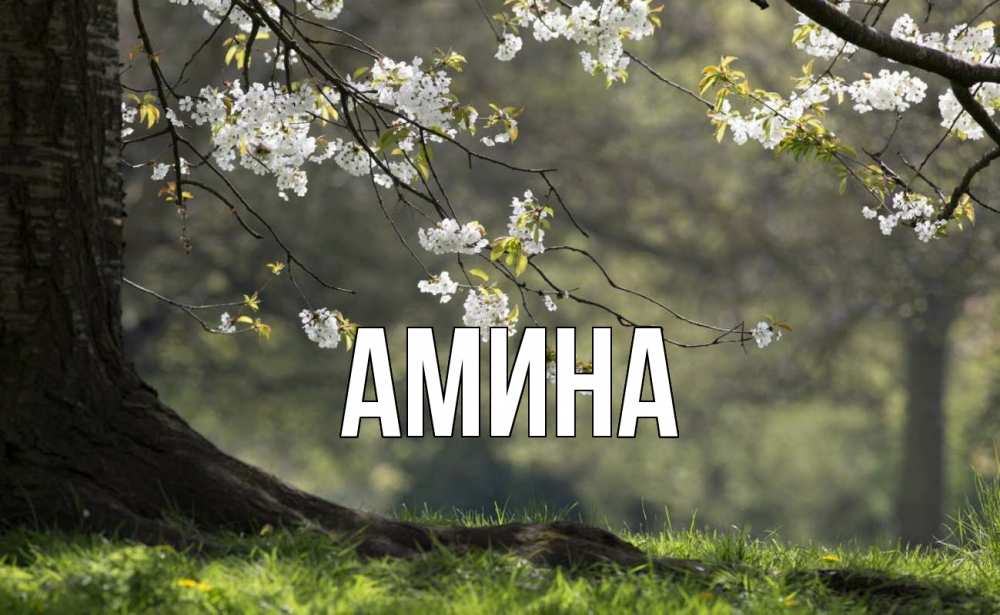 Открытка на каждый день с именем, Амина Главная С 1 мая Прикольная открытка с пожеланием онлайн скачать бесплатно 