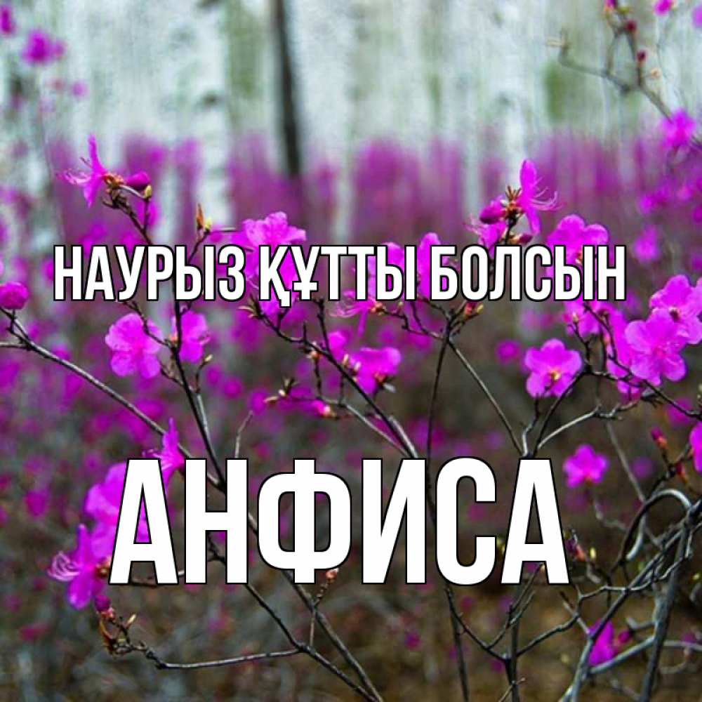 Открытка на каждый день с именем, Анфиса Наурыз құтты болсын дикие цветы Прикольная открытка с пожеланием онлайн скачать бесплатно 