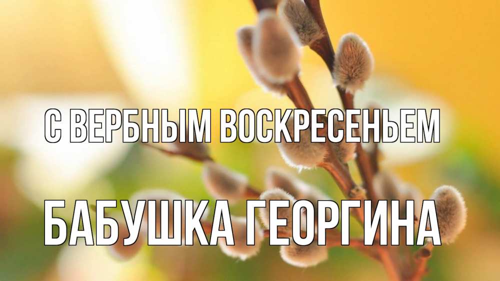 Открытка на каждый день с именем, Бабушка-Георгина С вербным воскресеньем верба 1 Прикольная открытка с пожеланием онлайн скачать бесплатно 