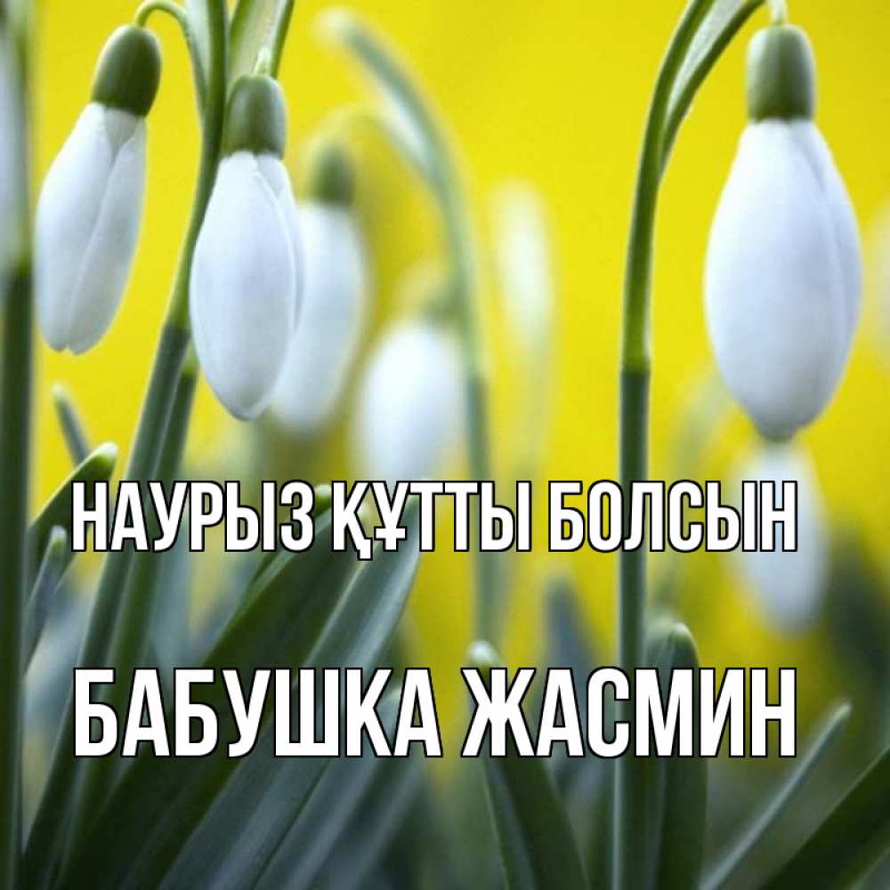 Открытка на каждый день с именем, Бабушка-Жасмин Наурыз құтты болсын весенние цветы Прикольная открытка с пожеланием онлайн скачать бесплатно 