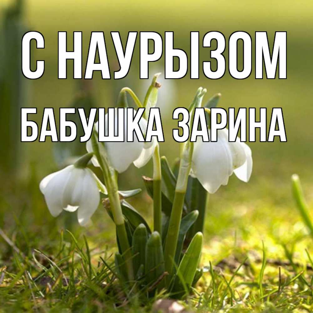 Открытка на каждый день с именем, Бабушка-Зарина С наурызом ранние цветы 2 Прикольная открытка с пожеланием онлайн скачать бесплатно 