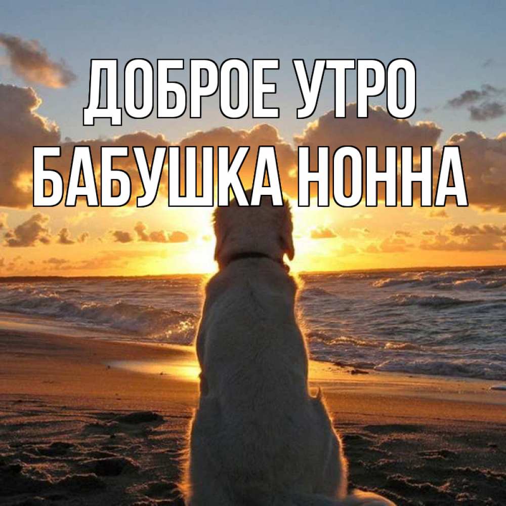 Открытка на каждый день с именем, Бабушка-Нонна Доброе утро восход солнца Прикольная открытка с пожеланием онлайн скачать бесплатно 
