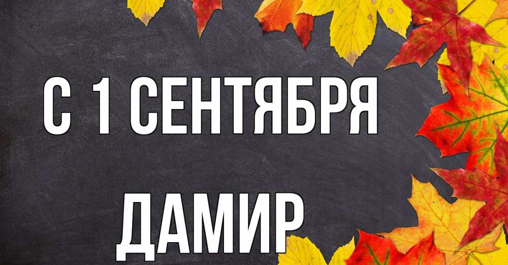Открытка на каждый день с именем, Дамир С 1 сентября с днем знаний Прикольная открытка с пожеланием онлайн скачать бесплатно 