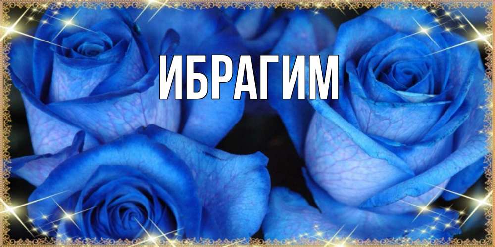 Открытка на каждый день с именем, Ибрагим Главная красивые розы для милых дам на международный женский день Прикольная открытка с пожеланием онлайн скачать бесплатно 