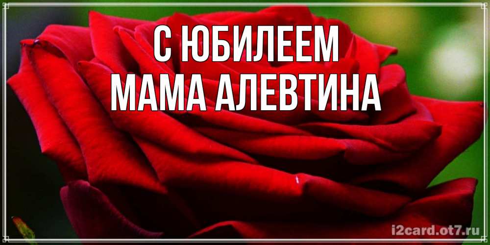 Открытка на каждый день с именем, Мама-Алевтина С юбилеем розочка очень красивая Прикольная открытка с пожеланием онлайн скачать бесплатно 