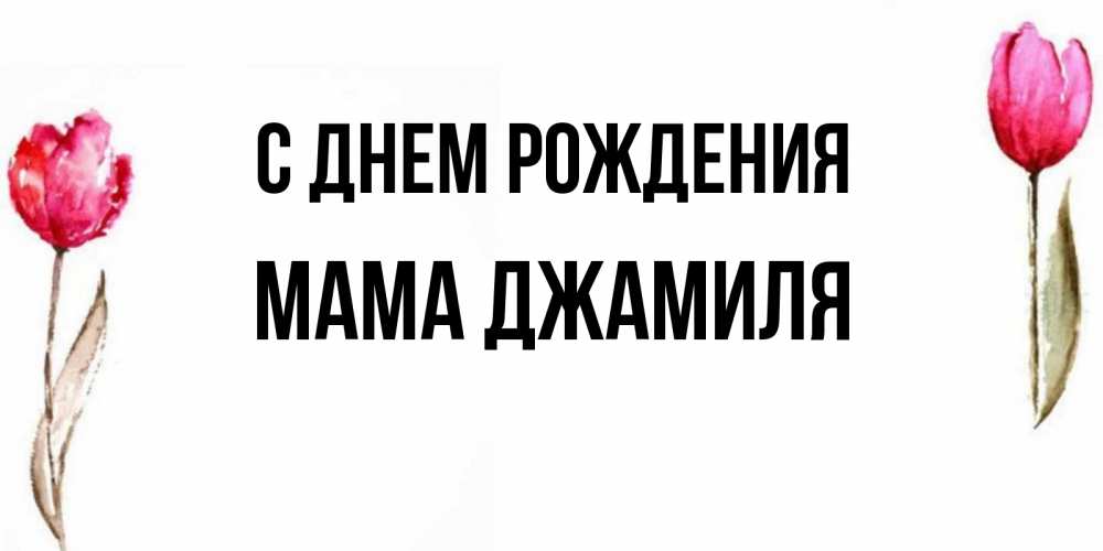 Открытка на каждый день с именем, Мама-Джамиля С днем рождения открытки акварелью с цветами Прикольная открытка с пожеланием онлайн скачать бесплатно 