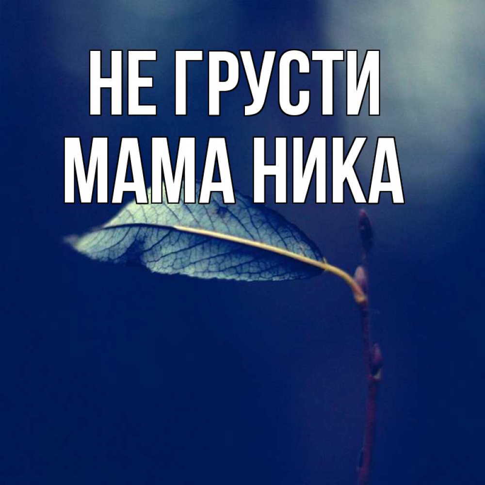 Открытка на каждый день с именем, Мама-Ника Не грусти растение Прикольная открытка с пожеланием онлайн скачать бесплатно 