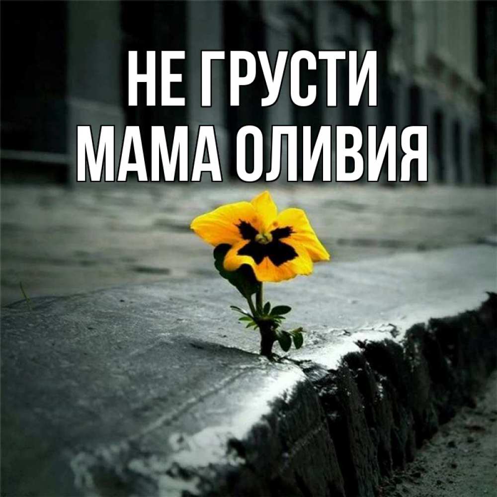 Открытка на каждый день с именем, Мама-Оливия Не грусти не сдавайся Прикольная открытка с пожеланием онлайн скачать бесплатно 