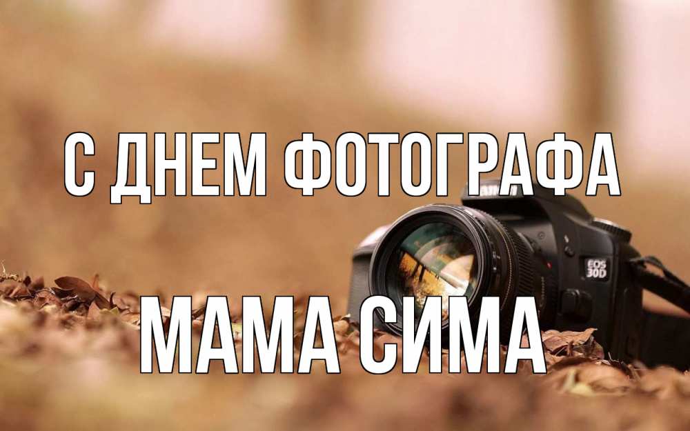 Открытка на каждый день с именем, Мама-Сима С днем фотографа с днем фотографа Прикольная открытка с пожеланием онлайн скачать бесплатно 