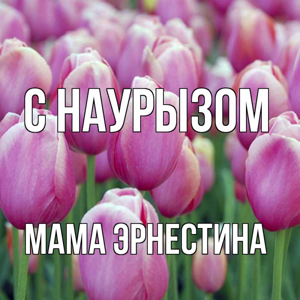Открытка на каждый день с именем, Мама-Эрнестина С наурызом праздник весны наурыз 69 Прикольная открытка с пожеланием онлайн скачать бесплатно 