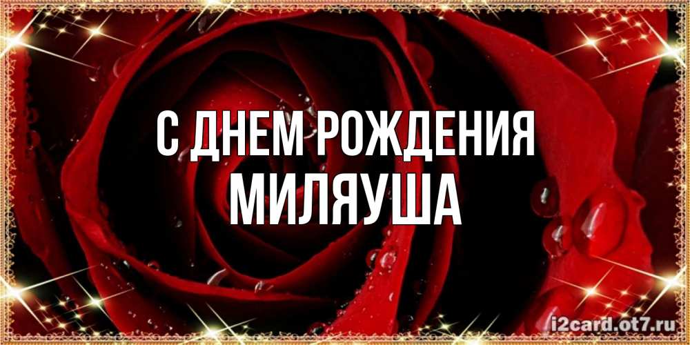 Открытка на каждый день с именем, Миляуша С днем рождения цветок в росе на день рождения Прикольная открытка с пожеланием онлайн скачать бесплатно 