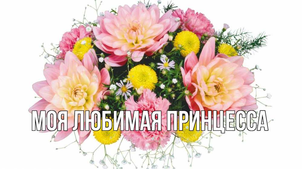 Открытка на каждый день с именем, Моя-Любимая-Принцесса Главная с днем бухгалтера Прикольная открытка с пожеланием онлайн скачать бесплатно 