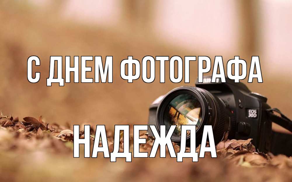 Открытка на каждый день с именем, Надежда С днем фотографа с днем фотографа Прикольная открытка с пожеланием онлайн скачать бесплатно 