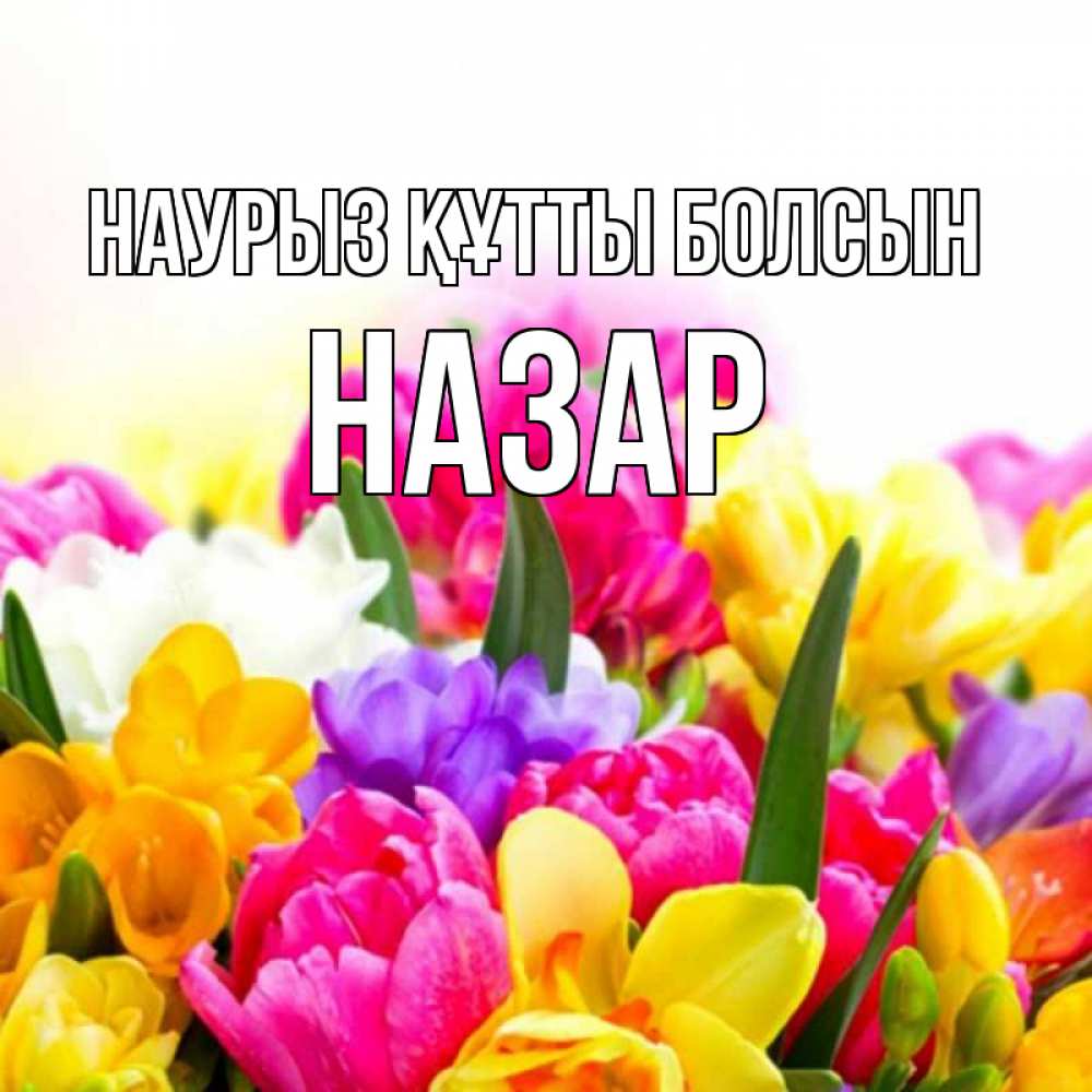 Открытка на каждый день с именем, Назар Наурыз құтты болсын тюльпаны Прикольная открытка с пожеланием онлайн скачать бесплатно 