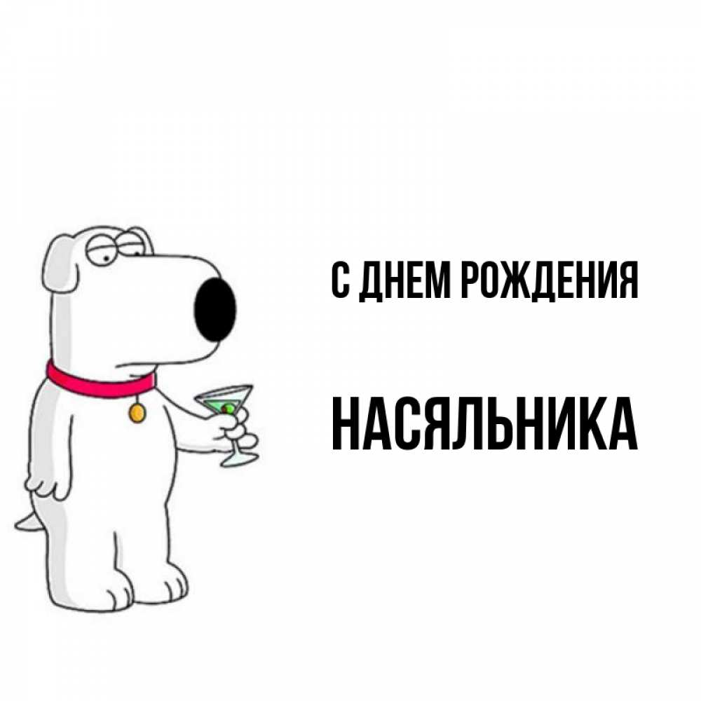 Открытка на каждый день с именем, Насяльника С днем рождения песик с оливками Прикольная открытка с пожеланием онлайн скачать бесплатно 