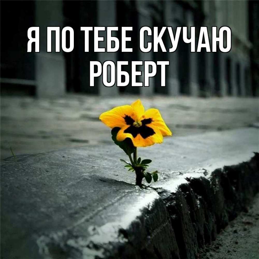Открытка на каждый день с именем, Роберт Я по тебе скучаю надеюсь будет лучше Прикольная открытка с пожеланием онлайн скачать бесплатно 