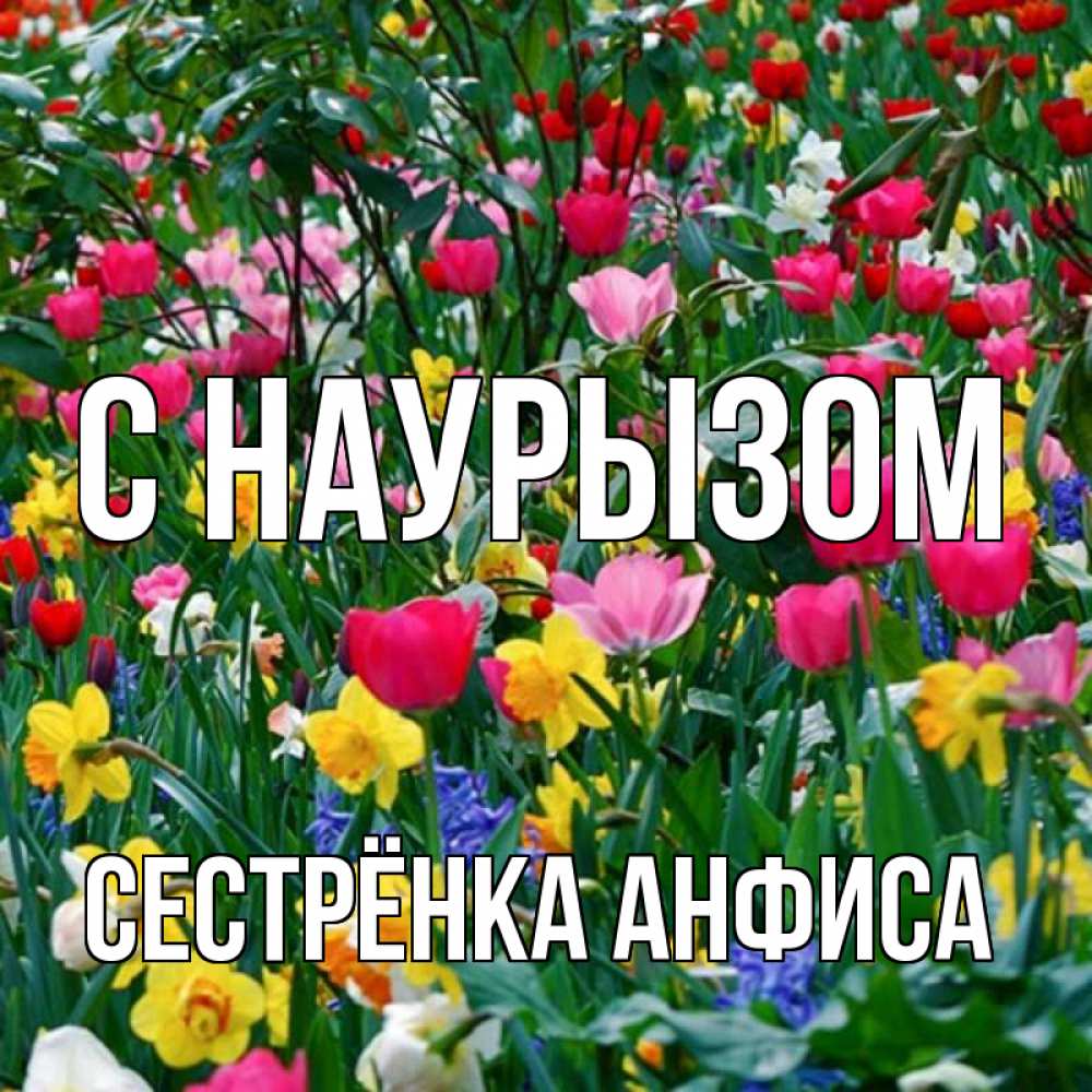 Открытка на каждый день с именем, Сестрёнка-Анфиса С наурызом с наурызом праздником весны поздравления для женщины Прикольная открытка с пожеланием онлайн скачать бесплатно 