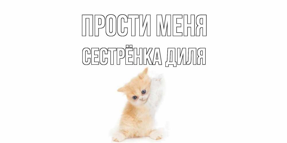 Открытка на каждый день с именем, Сестрёнка-Диля Прости меня кот Прикольная открытка с пожеланием онлайн скачать бесплатно 